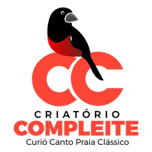 logotipo